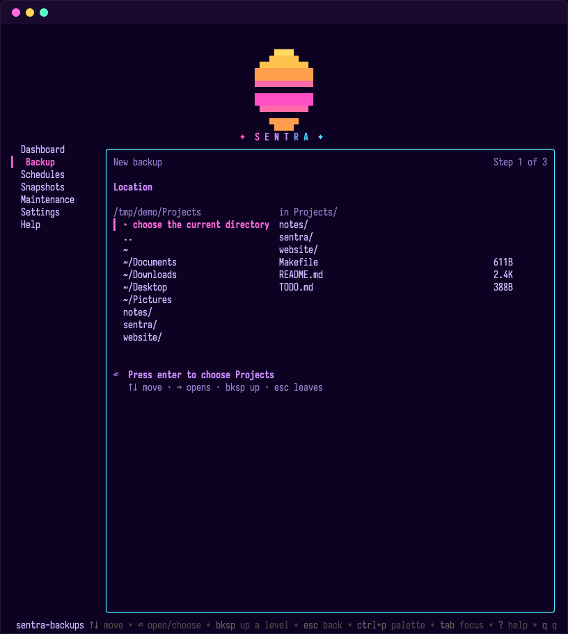 Sentra's backup wizard showing a folder picker and a preview of files in the selected directory.